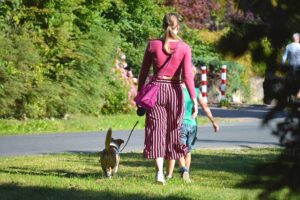 Mon chien m’attaque en promenade : pourquoi et comment faire ?