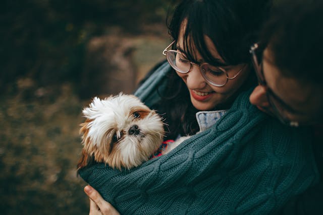 15 signes qui montrent que votre chien vous aime