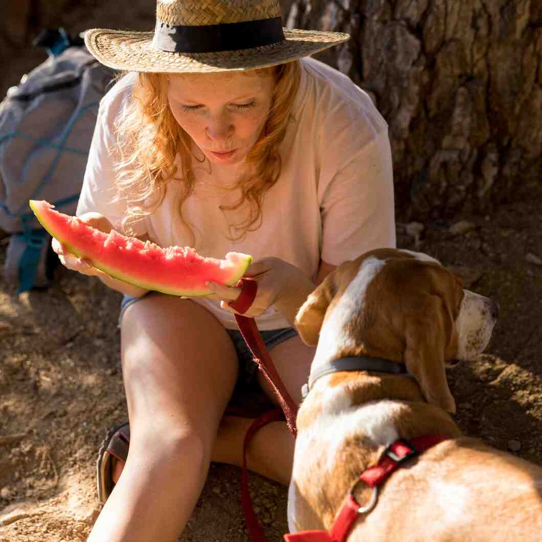 Peut-on donner de la pastèque à son chien ?