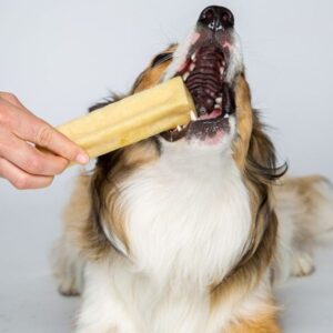 Le fromage de yak pour chien : un délice nutritif